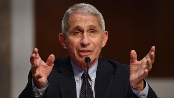 BREAKING: Dr. Fauci admits COVID vaccine may not be safe Fauci-senate-help-committee