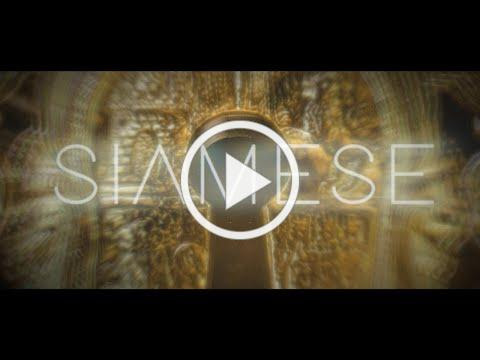 Siamese - Numb (Visualizer)