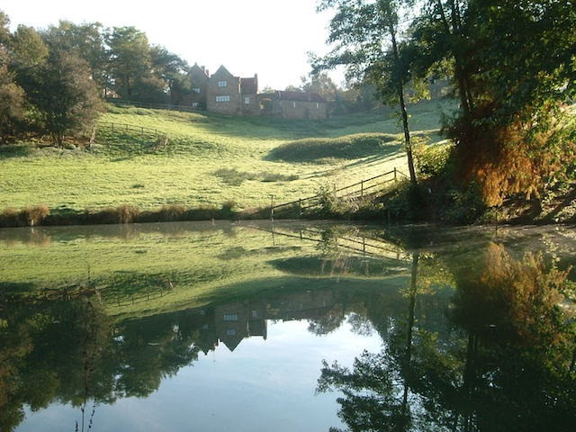 Pond in the autumn copy.jpg