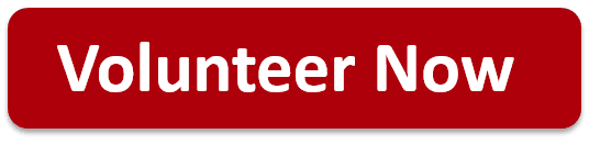 Volunteer Now