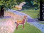 Deer Crossing - Posted on Monday, January 12, 2015 by Elaine Shortall