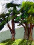 Midday Tree Shadow - Posted on Saturday, January 31, 2015 by Donna Crosby