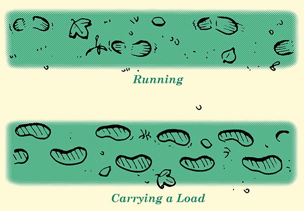 determining meaning in footprints when tracking humans illustration