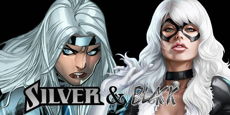 Silver-Sable-and-Black-Cat.jpg?q=50&fit=crop&w=738