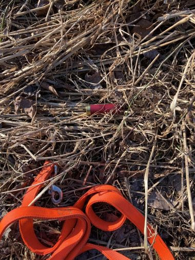 red shell casing and orange K9 ECO leash in some dried grass