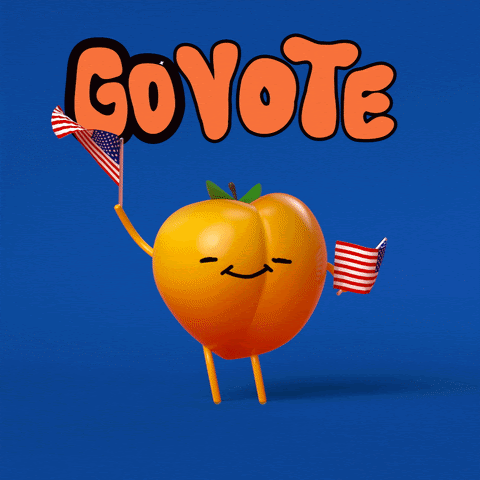 Go vote!