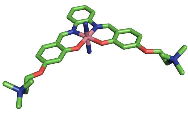 Metal-based molecules show promise against the build-up of Alzheimer’s peptides