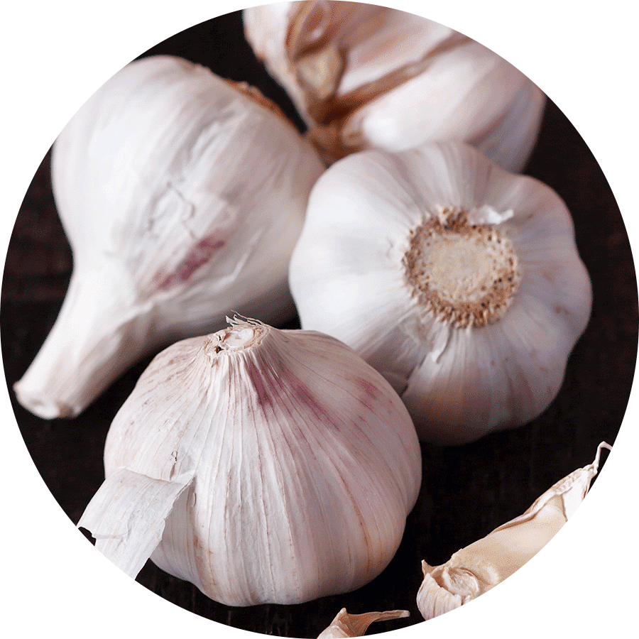 garlic bulbs on black background