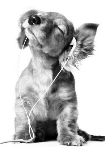 Dog-Music