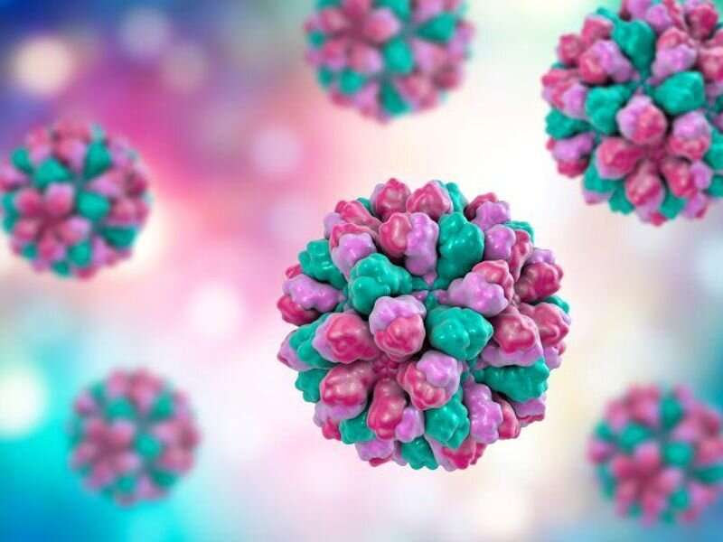 Norovirus outbreaks have increased to prepandemic levels