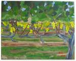 Vineyard Majestic field 3 2012 - Posted on Monday, January 5, 2015 by Ruth Lerner