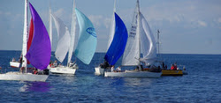 J/24s sailing off Sydney, Australia