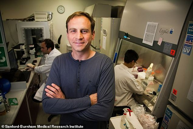 Alexey V. Terskikh, a scientist at Sanford-Burnham Medical Discovery Institute, has been leading the groundbreaking stem cell hair growth process