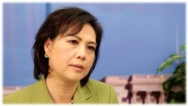 Khoa học gia Dương Nguyệt Ánh chia sẻ câu chuyện trong phim VietnAmerica.