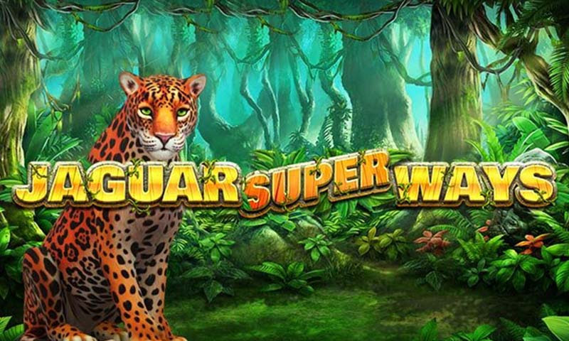 Cara Super Jaguar