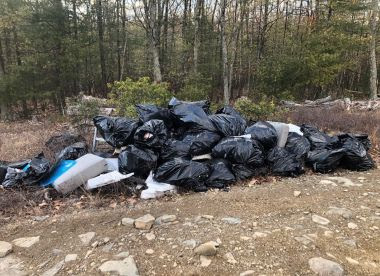 Large pile of debris and black garbage bags filled with trash in the woods