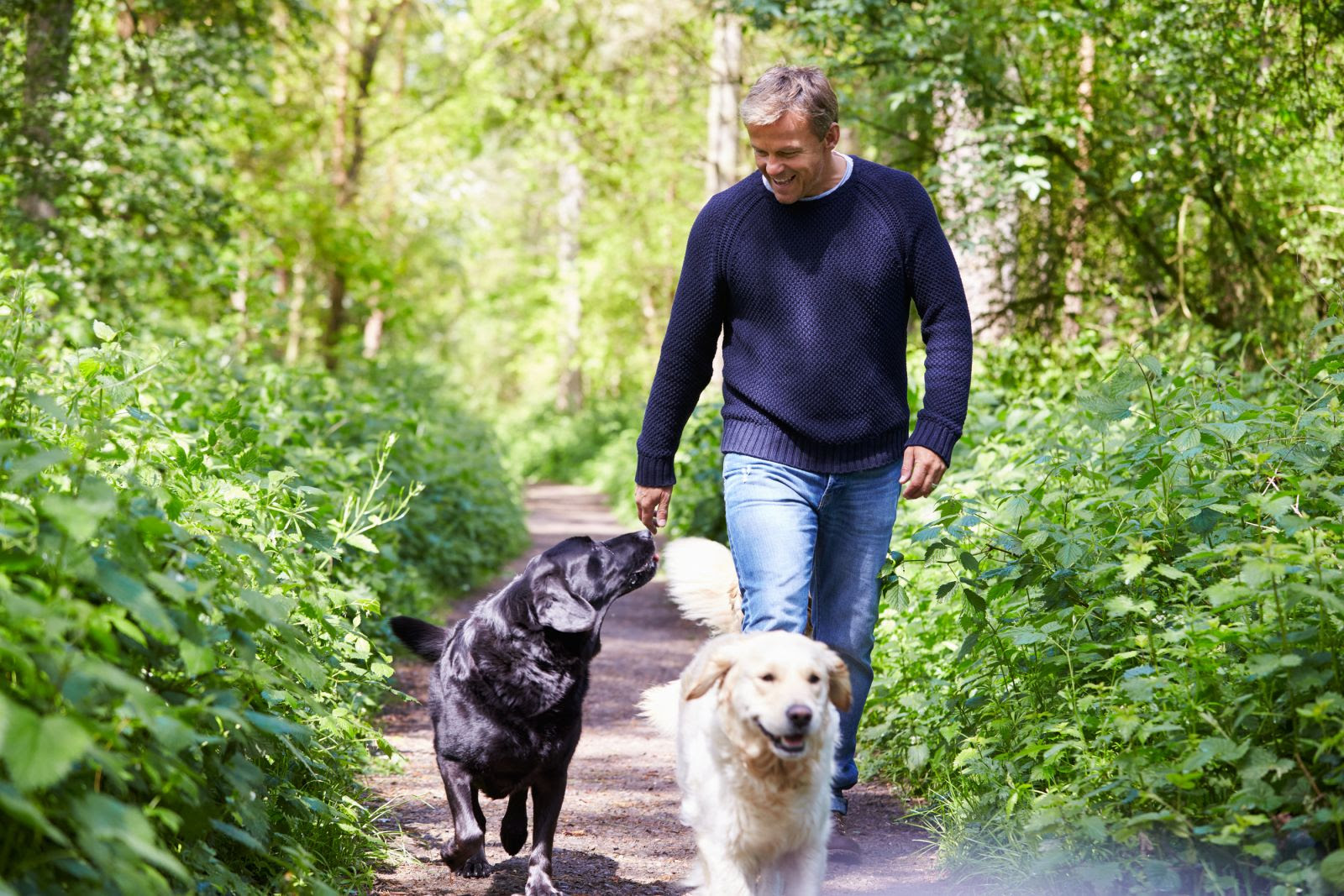 walking regimen