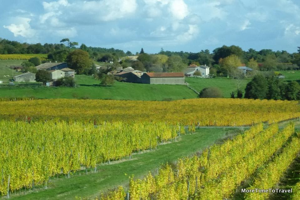 Vineyard view along the Dordogne on a river cruise in Bordeaux, France (Credit: MoreTimeToTravel.com)