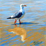 Seagull Reflection - Posted on Wednesday, January 28, 2015 by Alice Leggett