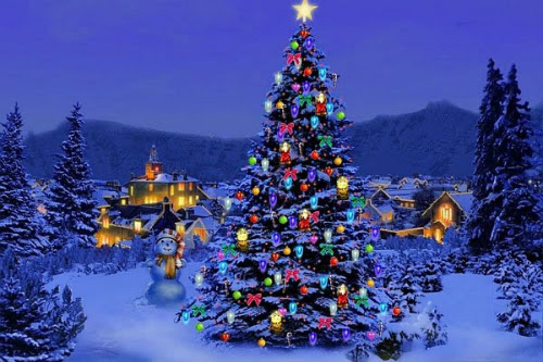vi-sao-co-truyen-thong-trang-tri-va-thap-sang-cay-noel