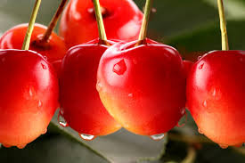 images (1)
