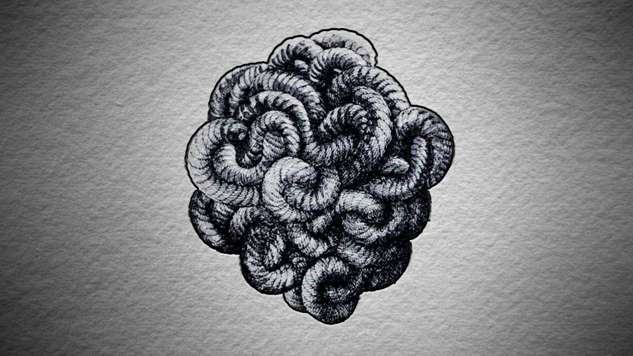 The Gordian Knot Cfy3uUL9WR