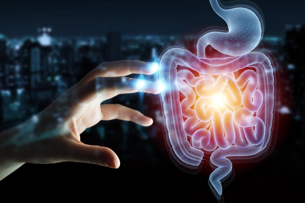 Research continues to shine a light on the role gut bacteria might play in Parkinson's disease