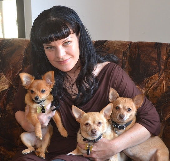 2016 Remember Me Thursday Official Spokesperson Pauley Perrette with rescue pups, Rosie, Grace and Bug