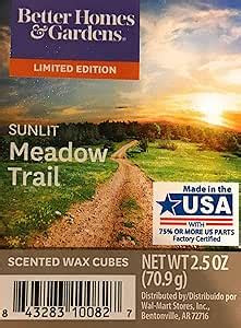 Hikers enjoying a scenic walk on the Sunlit Meadow Trail, surrounded by wildflowers and rolling green hills bathed in golden sunlight