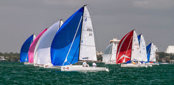 J/70s sailing Bacardi Miami Sailing Week