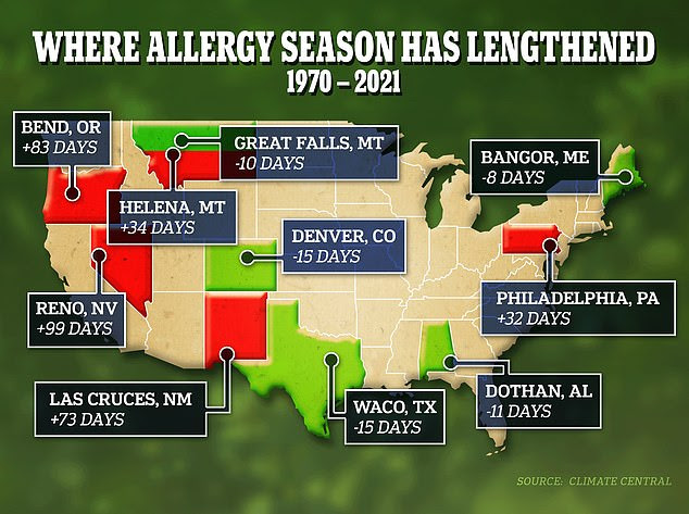 Pollen season is getting longer every year in some parts of America, as a warmer climate leads to an increased amount of the particles in the air
