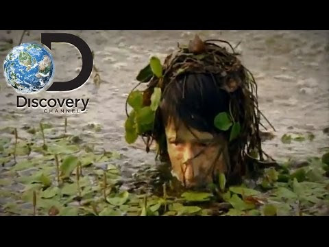 What the Discovery Channel Just Did Is an Absolute Disgrace!