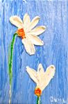 Daisies Blue Sky 1 - Posted on Monday, February 23, 2015 by Cynthia Van Horne Ehrlich