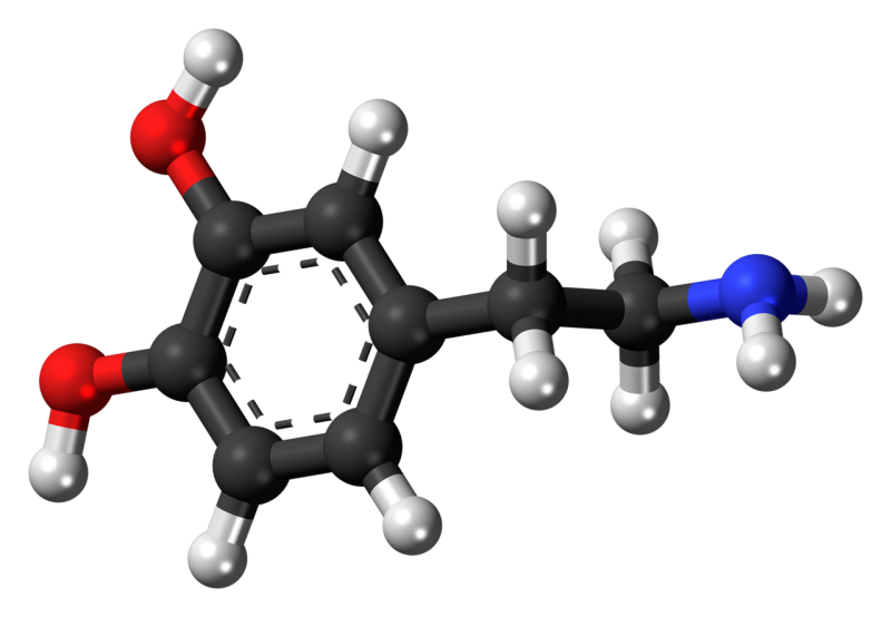 dopamine