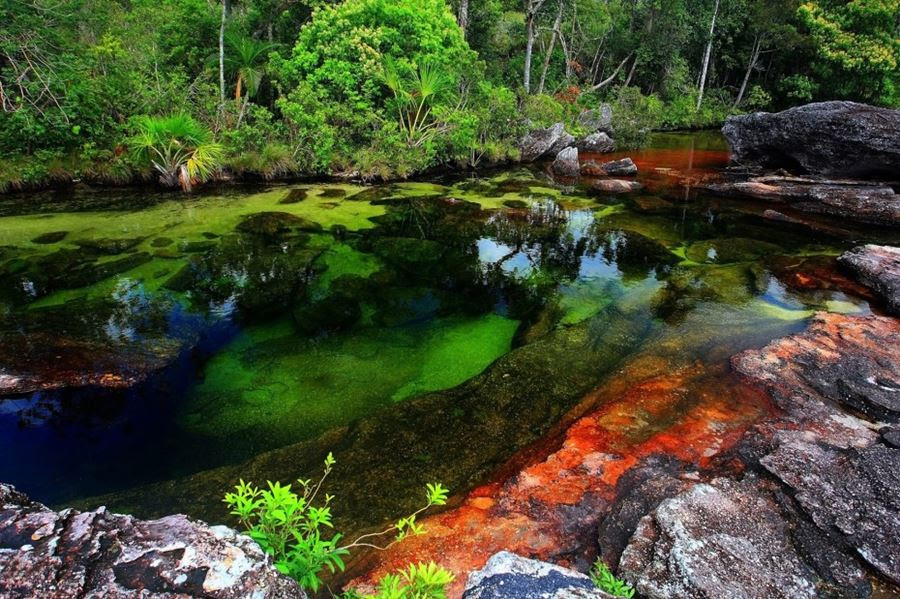 Caño Cristales, Κολομβία