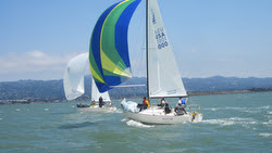 J/24s sailing Berkeley Circle