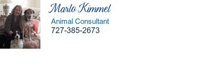 .              Marlo Kimmel .                         Animal Consultant .                         727-385-2673   
