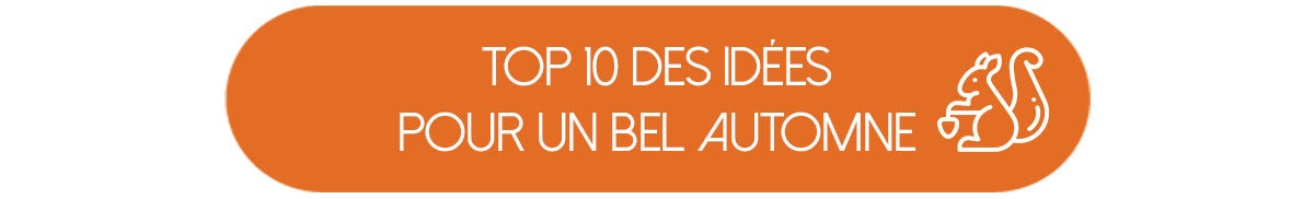 Top 10 des idées pour passer un bel automne