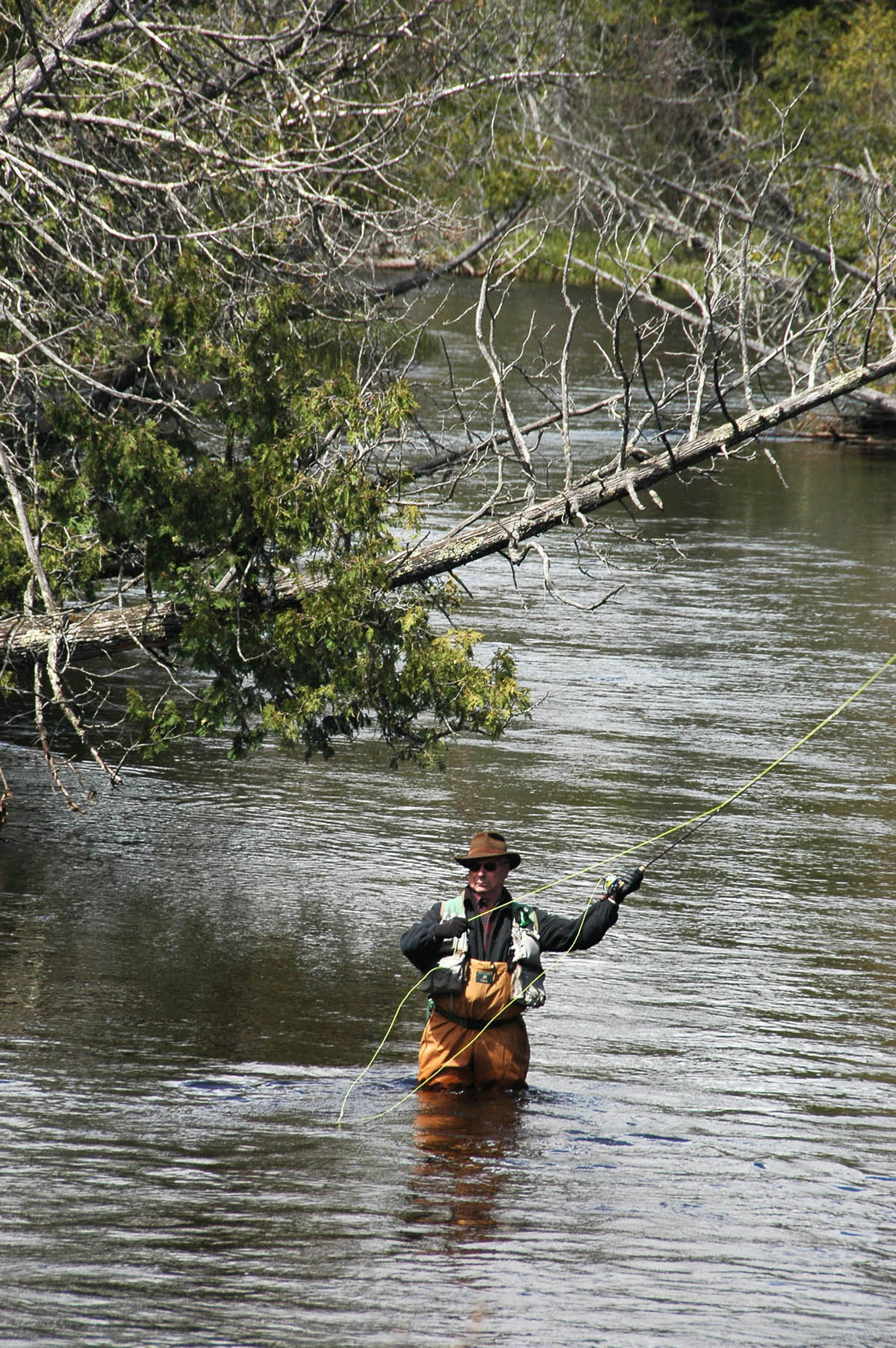 Fly fisherman