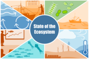 state of the ecosystem logo centered with various ecosystem backgrounds surrounding