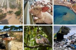 España encadena su quinto año a la cabeza de las infracciones ambientales en Europa