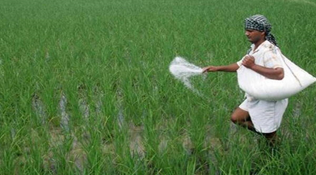 Govt hikes nutrient-based fertiliser subsidy for Kharif season | The Financial Express