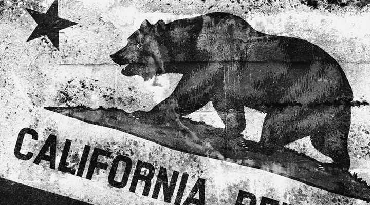 State of Ignorance: California Pushes False Information to School Kids on the Second Amendment