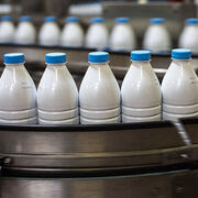 Bouteilles de lait : boycottez le PET opaque !