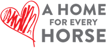 ahfeh-nav-logo