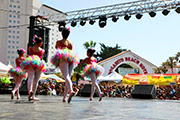 Rosarito Art Fest 2014 Rosarito Art Fest
2014