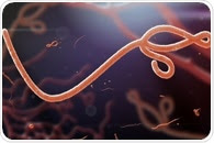 Fresh Ebola outbreak in Congo reported