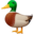 🦆