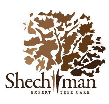 LOGO-Shechtman-Tree-Care-2016.png