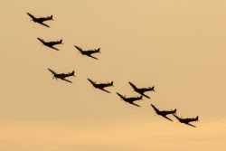 Spitfire Flypast
